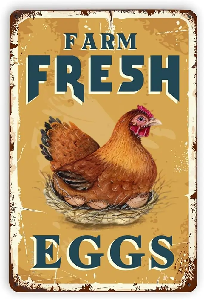 Farm Fresh Eggs